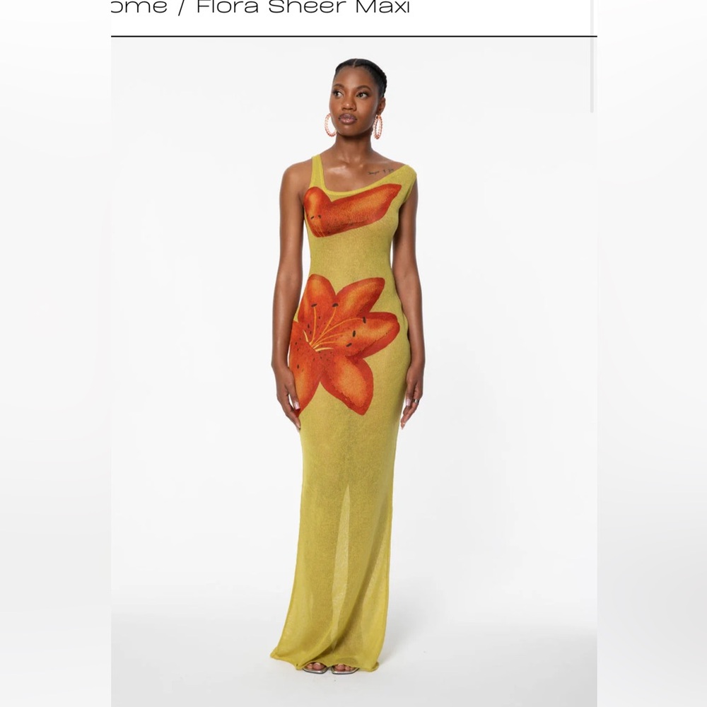 Hanifa dress